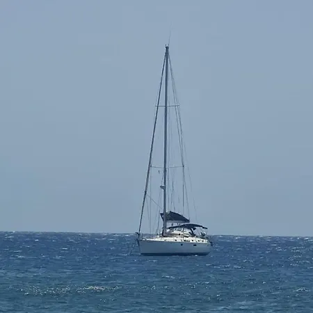Mariposa Azul *